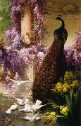 Eugene Bidau A Peacock and Doves in a Garden oil painting picture wholesale